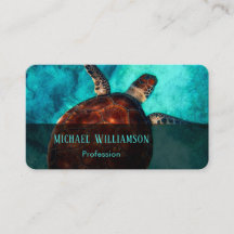 Hawaii Turtle Honu Foto Coastal