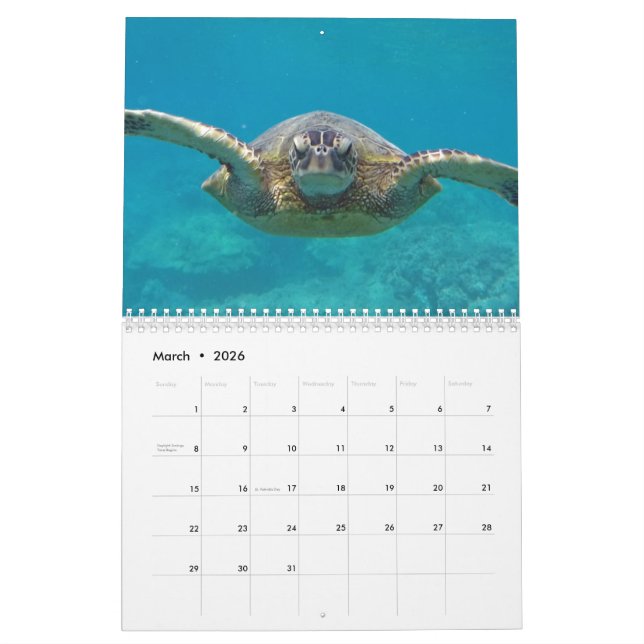 Hawaii Turtles Kalender (Mär 2026)