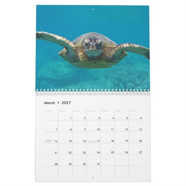 Hawaii Turtles Kalender (Mär 2027)