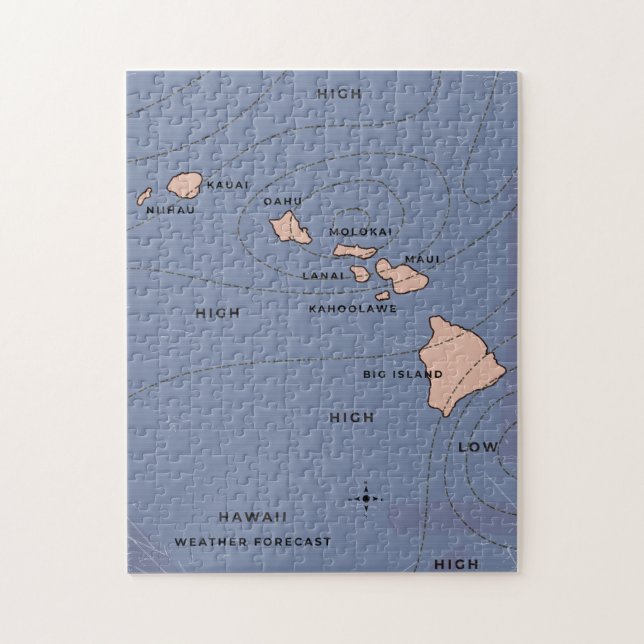 Hawaii Vintage Wettervorhersage (Vertikal)