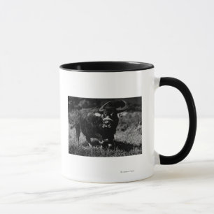 HawaiiA Wasser-Büffel PhotographHawaii Tasse