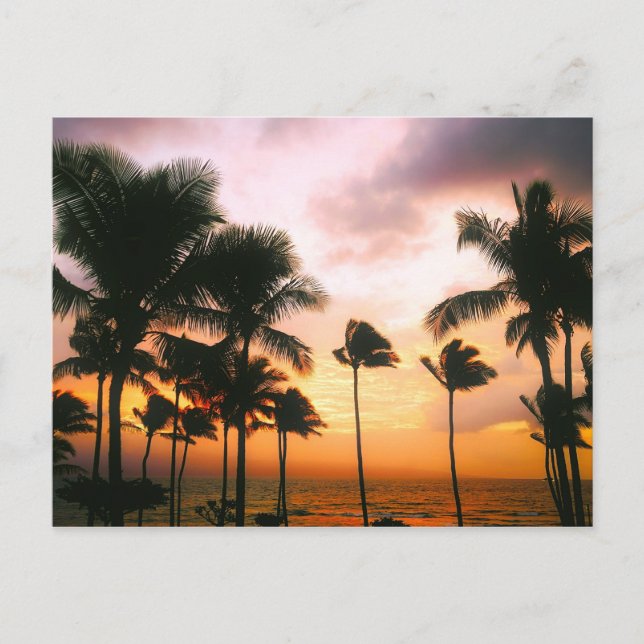 Hawaiian Beach Palm Trees Sunset - Hawaii Reisen Postkarte (Vorderseite)