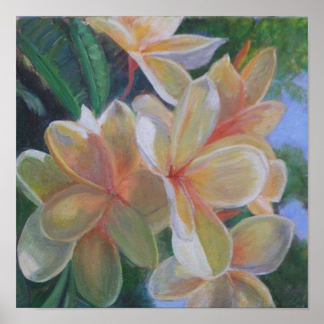 HAWAIIAN BLUME Poster (Vorne)