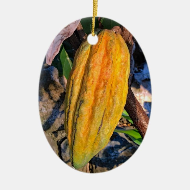 Hawaiian Cacao Pod Keramik Ornament (Vorne)