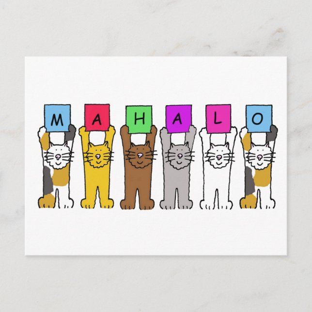 Hawaiian Dank Mahalo Cartoon Cats Postkarte (Vorderseite)
