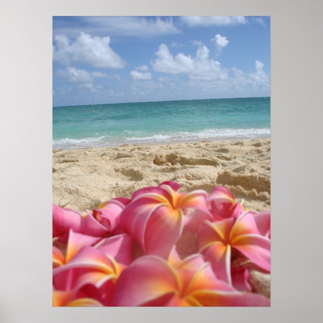 Hawaiian Dayz Poster (Vorne)