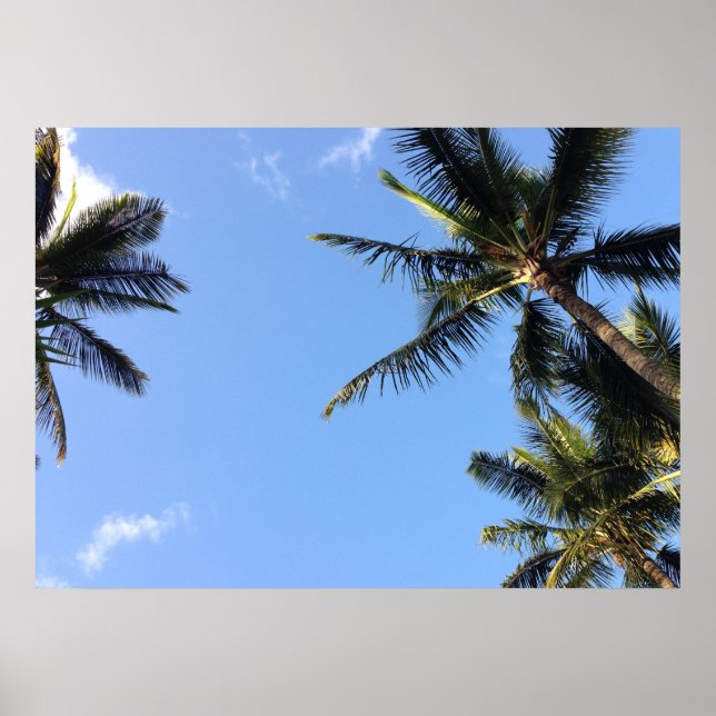 Hawaiian Exotic Beach Palm Trees Poster (Vorne)