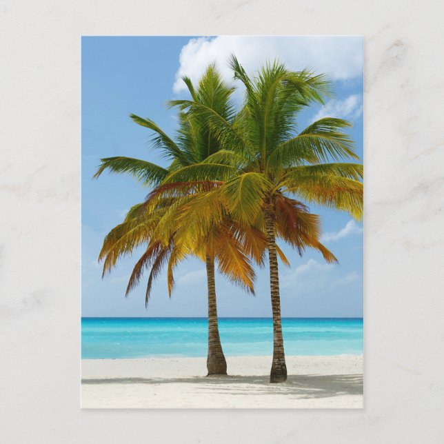 Hawaiian Exotic Beach Palm Trees Postkarte (Vorderseite)