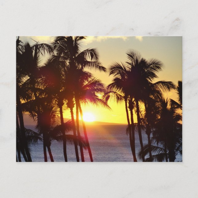 Hawaiian Exotic Beach Palm Trees Sunset Postkarte (Vorderseite)