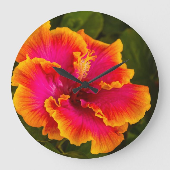 Hawaiian Fuchsia and Orange Hibiscus from Kauai Große Wanduhr (Vorderseite)