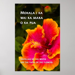 Hawaiian Fuchsia und Orange Hibiskus Motivierend Poster
