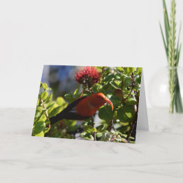 Hawaiian 'I'iwi Karte