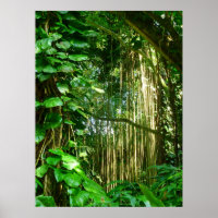 Hawaiian Jungle Vines