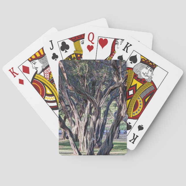 Hawaiian Kiawe Tree Spielkarten (Rückseite)