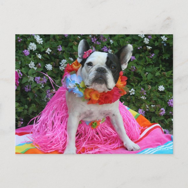 Hawaiian Midge Postkarte (Vorderseite)