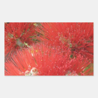 Hawaiian Native Ohia Lehua Blume Design Rechteckiger Aufkleber