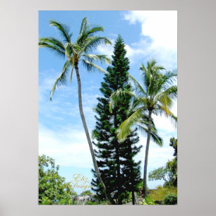 Hawaiian Palms Poster