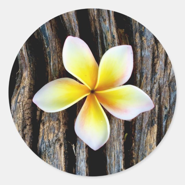 Hawaiian Plumeria Wedding Invitation Stickers (Vorderseite)