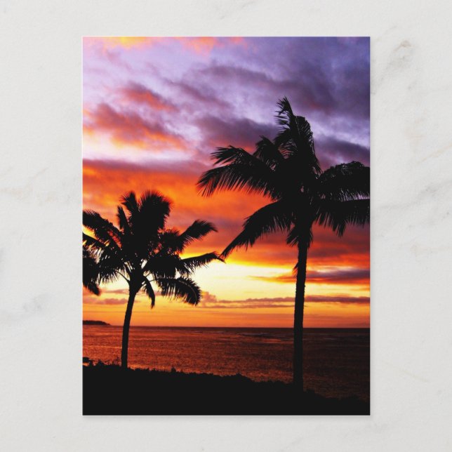 Hawaiian Sunset Print Postkarte (Vorderseite)