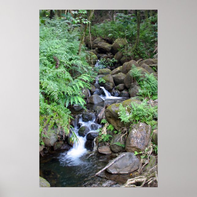 Hawaiian Tropical Stream Print Poster (Vorne)