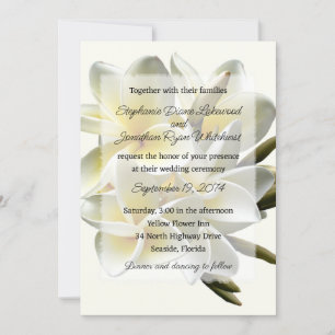 Hawaiian Wedding Frangipani Einladung