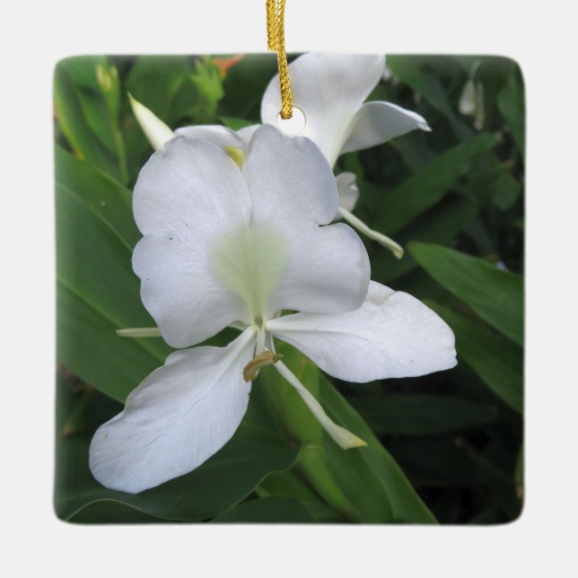 Hawaiian White Ginger Blume Keramikornament (Vorderseite)