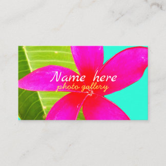 Hawaiian white plumeria flower pink visitenkarte