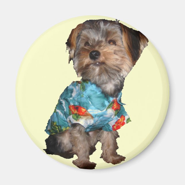Hawaiian Yorkie Magnet (Vorne)