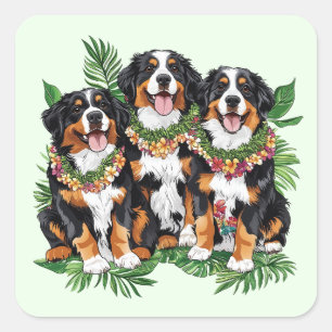 Hawaiianische Berner Sennenhunde Blumenlei Quadratischer Aufkleber