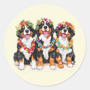 Hawaiianische Berner Sennenhunde Blumenlei Runder Aufkleber