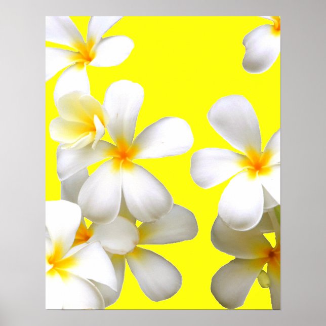 Hawaiianische Blume Poster (Vorne)