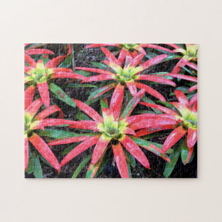 Hawaiianische Blume Puzzle
