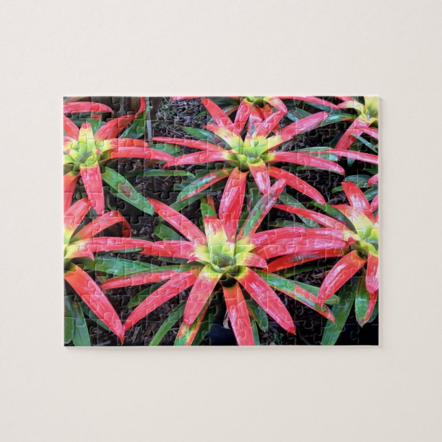 Hawaiianische Blume Puzzle (Horizontal)