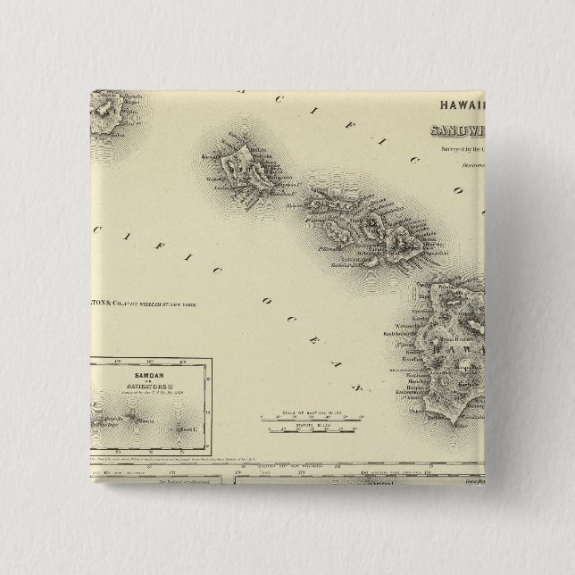 Hawaiianische Gruppe oder Sandwichinseln Button (Vorderseite)