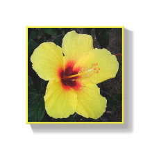 Hawaiianische Hula-Mädchen-Hibiskus-Leinwanddruck