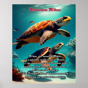 Hawaiianische Inseln Niihau Aloha Poster