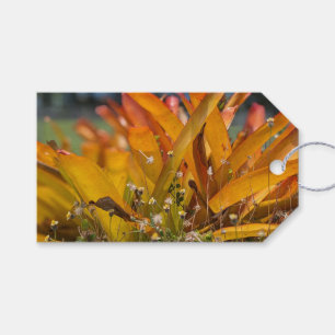 Hawaiianische Landschaftsfoto Geschenkanhänger