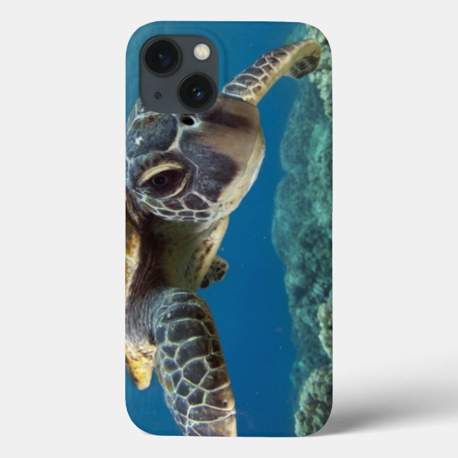 Hawaiianische Meeresschildkröte Case-Mate iPhone Hülle (Rückseite)