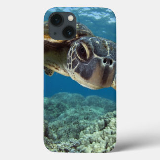 Hawaiianische Meeresschildkröte Case-Mate iPhone Hülle