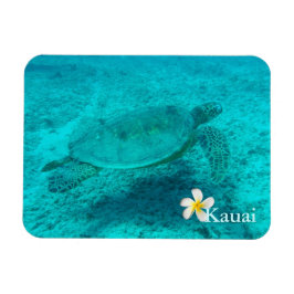 Hawaiianische Meeresschildkröte Magnet