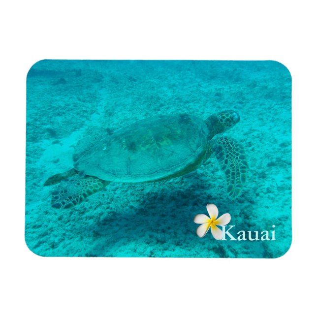 Hawaiianische Meeresschildkröte Magnet (Horizontal)