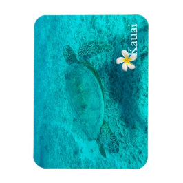 Hawaiianische Meeresschildkröte Magnet