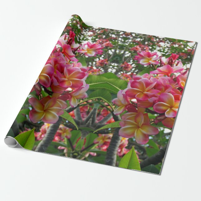 Hawaiianische Plumeria Geschenkpapier (Ungerollt)