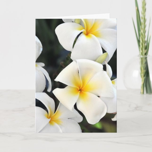 Hawaiianische Plumeria Tropical Greeting Card Karte (Vorderseite)