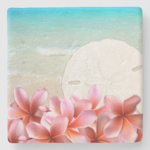 Hawaiianische Plumerie- und Sand-Dollar-Steinunter Steinuntersetzer