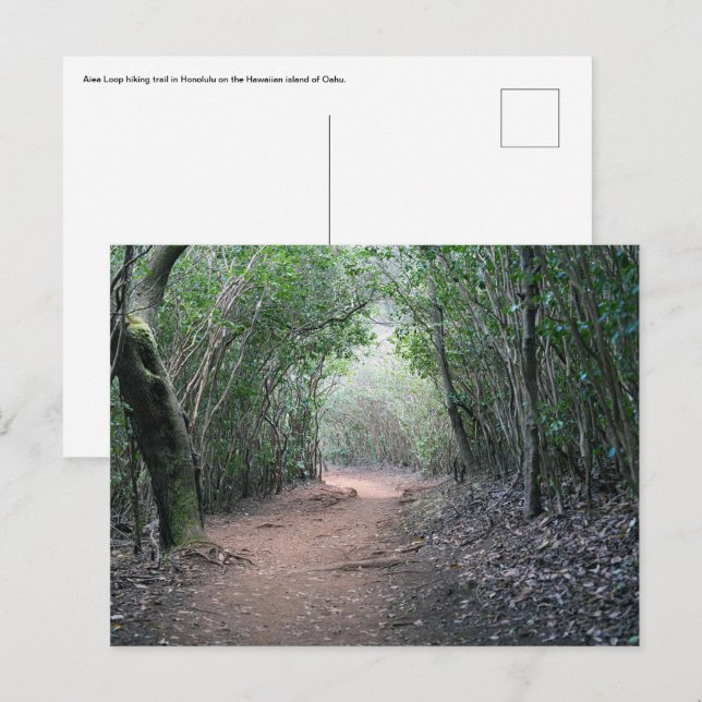 Hawaiianische Postkarte (Vorne/Hinten)