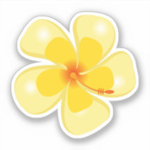 Hawaiianische Printwerbung