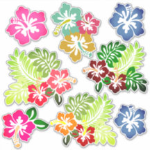 Hawaiianische Printwerbung
