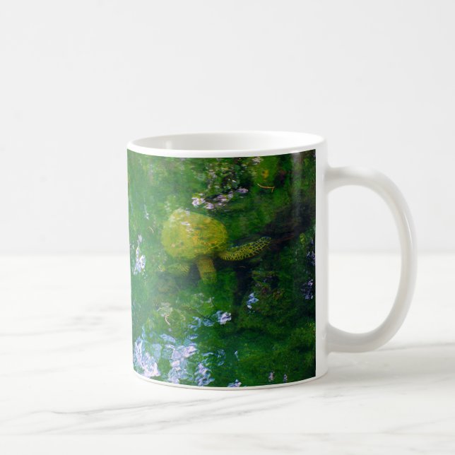 Hawaiianische Schildkröte Tasse Schönheit (Rechts)