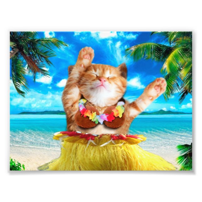 Hawaiianische Tänzerkatze Fotodruck (Vorne)